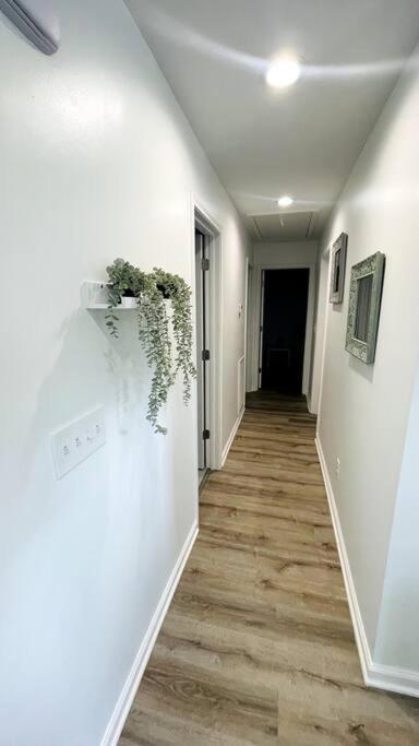 Modern Home Near Uptown Clt, Airport And More Charlotte Dış mekan fotoğraf